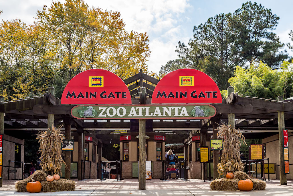Enjoy Boo at the Zoo this Halloween at Zoo Atlanta