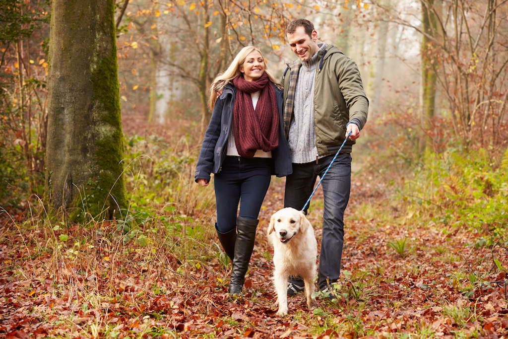 Enjoy time outdoors at parks near our new Kensington Gates townhomes - credit: Cathy Yeulet 123rf com