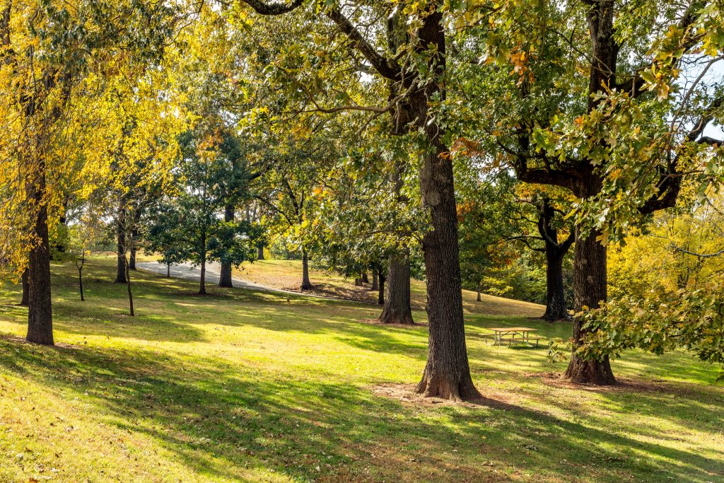 Parks in East Atlanta