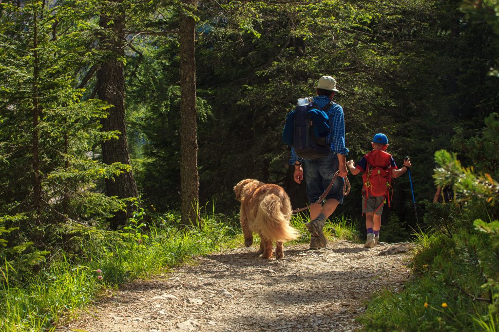 Family and dog walking on a nature trail