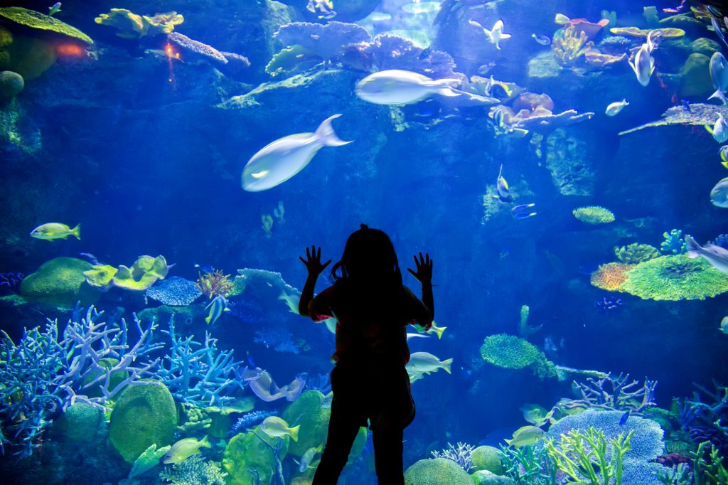 The Aquarium and the zoo are two Atlanta Landmarks yanukit 123rf