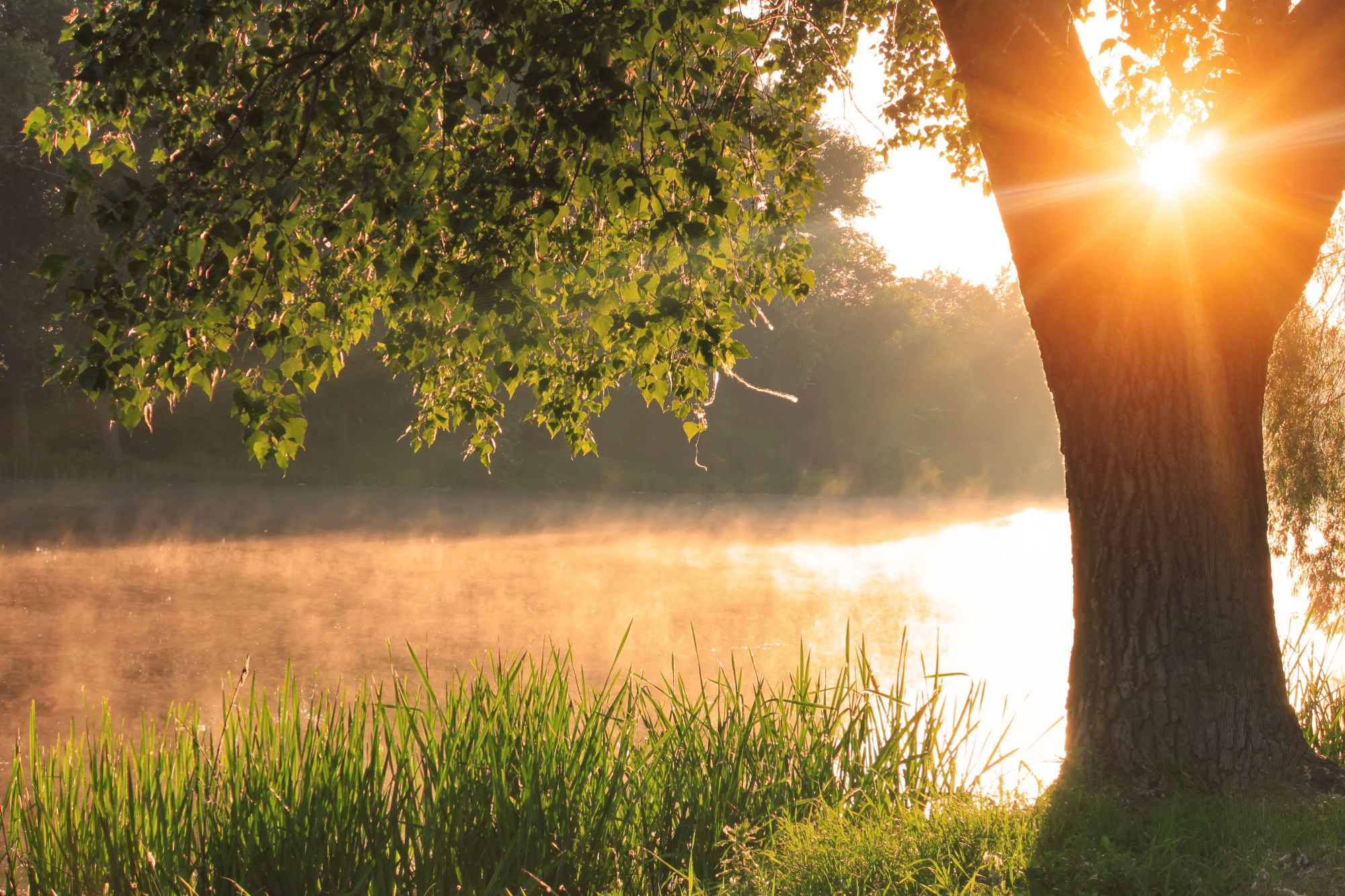 Lakefront Homes in Stonecrest – Now’s Your Chance!