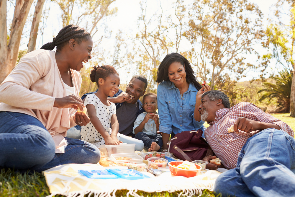 Picnic in Villa Rica ©Monkey Business Images