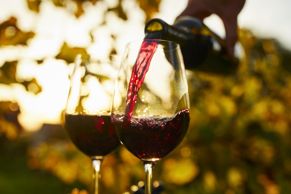 Little Vine Vineyards in Villa Rica ©Rostislav_Sedlacek