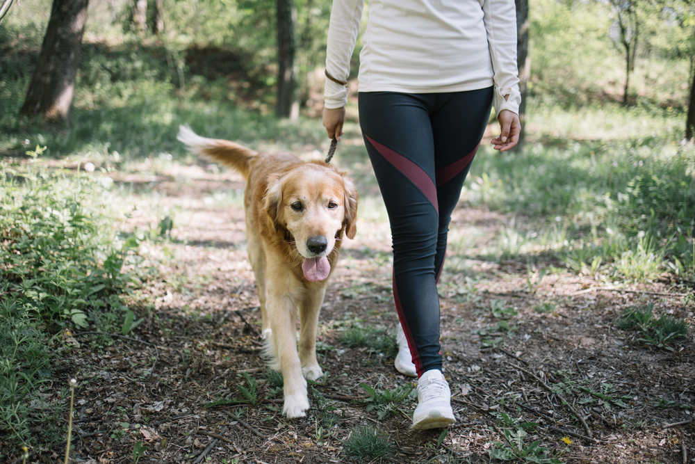 Walking trails and parks near Cambridge at Towne Center ©Synergic Works OU