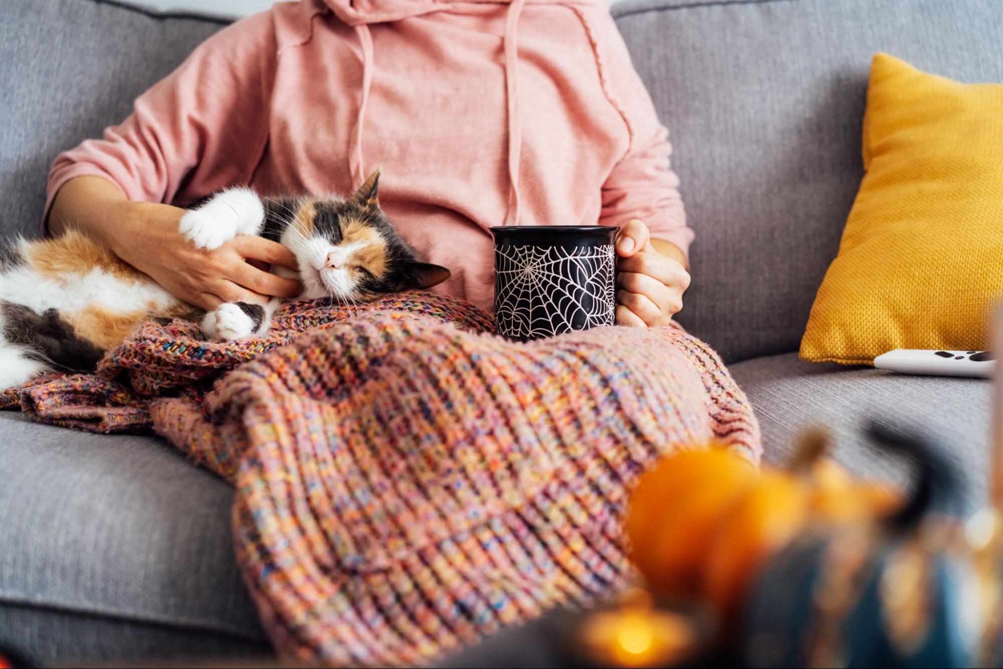 Cat and Owner on a couch
©Okrasiuk