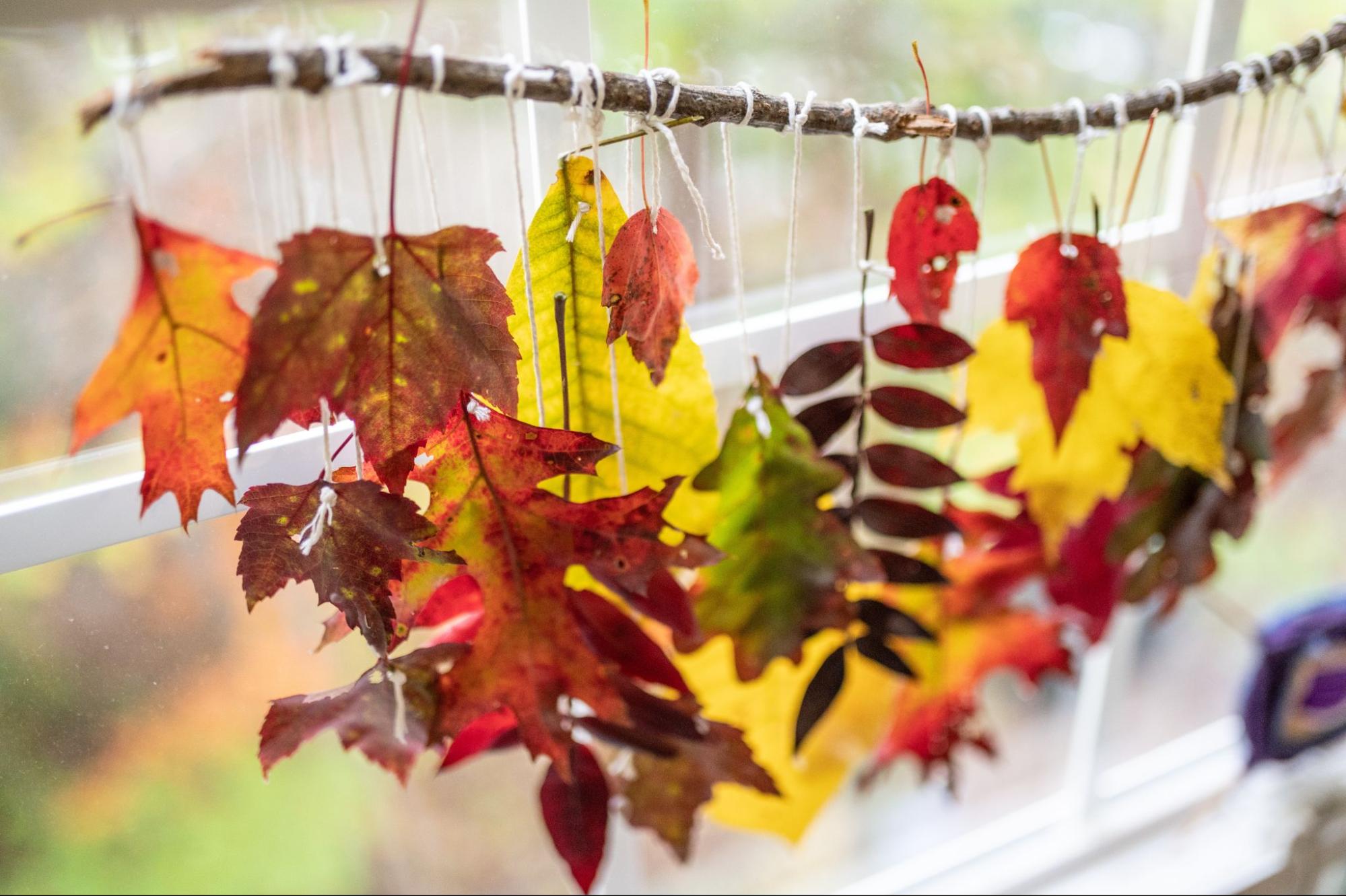 Fall Leaf Garlands
©Leigha Perales
