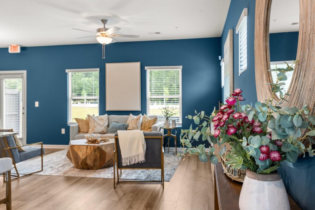 Rockhaven living room with blue accent wall, natural light, and low-maintenance houseplants.