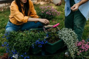 Two people planting flowers in a garden to enjoy phone free activities outdoors. ©StudioSixNs